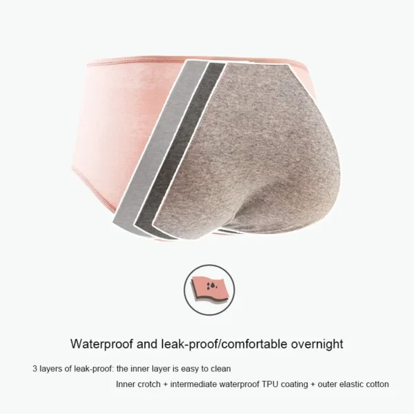 UltraComfort PhysioPants - women’s underwear - Image 5